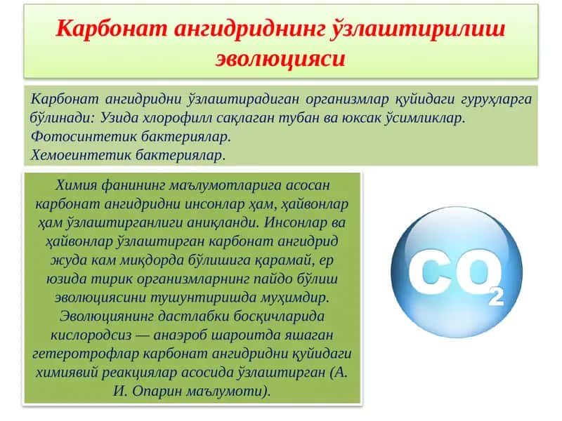 Карбонат ангидриднинг ўзлаштирилиши эволюцияси