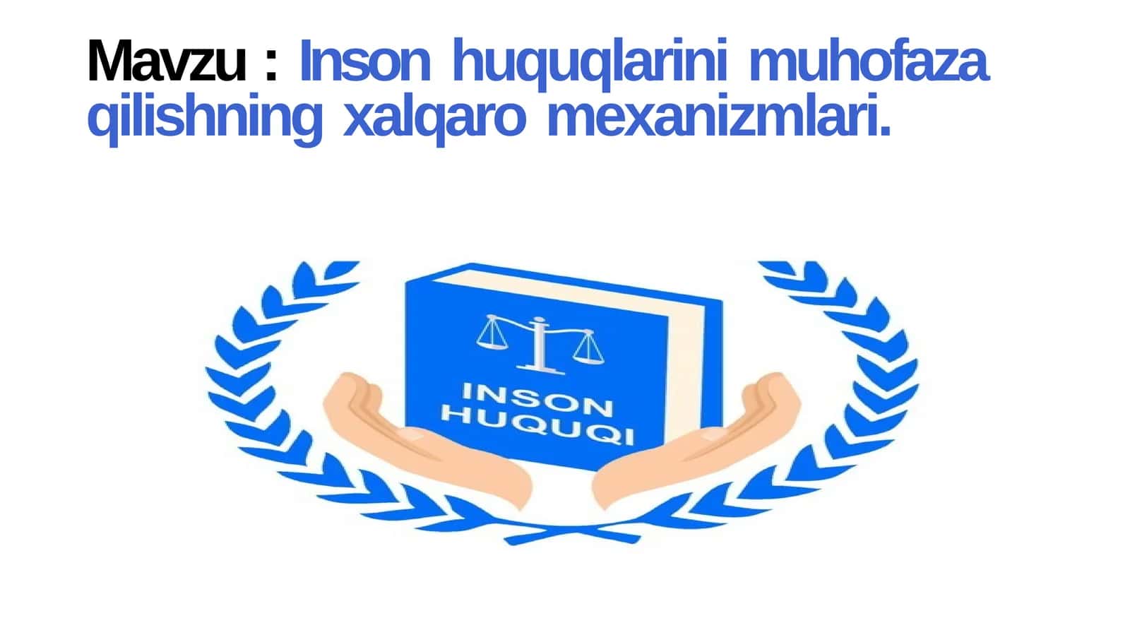 Inson huquqlarini muhofaza qilishning xalqaro mexanizmlari