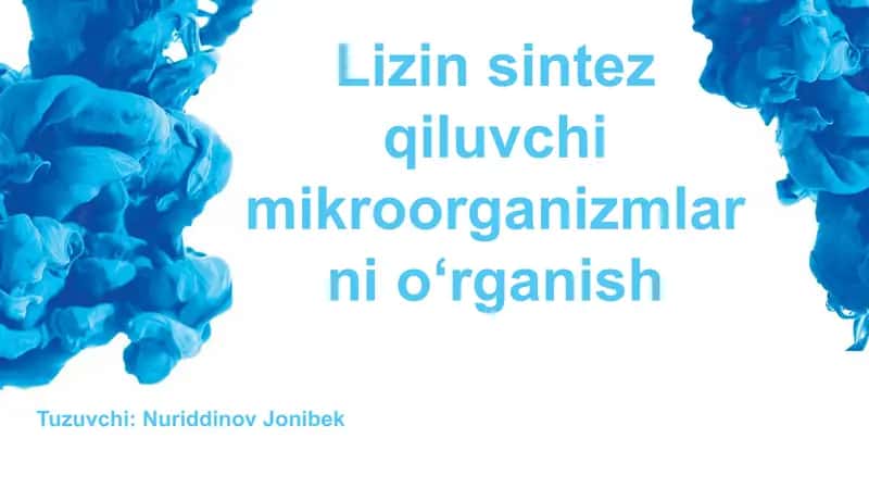 Lizin sintez qiluvchilik mikroorganizmlarini oʻrganish