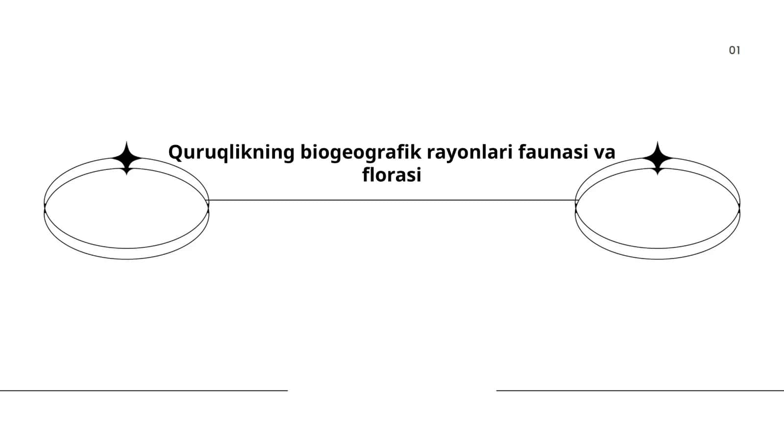 Quruqlikning biogeografik rayonlari faunasi va florasi