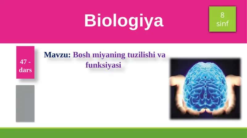 Boshmiyaning tuzilishi va funksiyasi