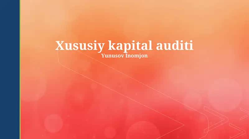 Xususiy kapital auditi