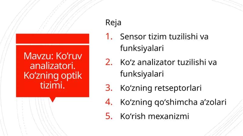 Koʻruv analizatori. Koʻzning optik tizimi.