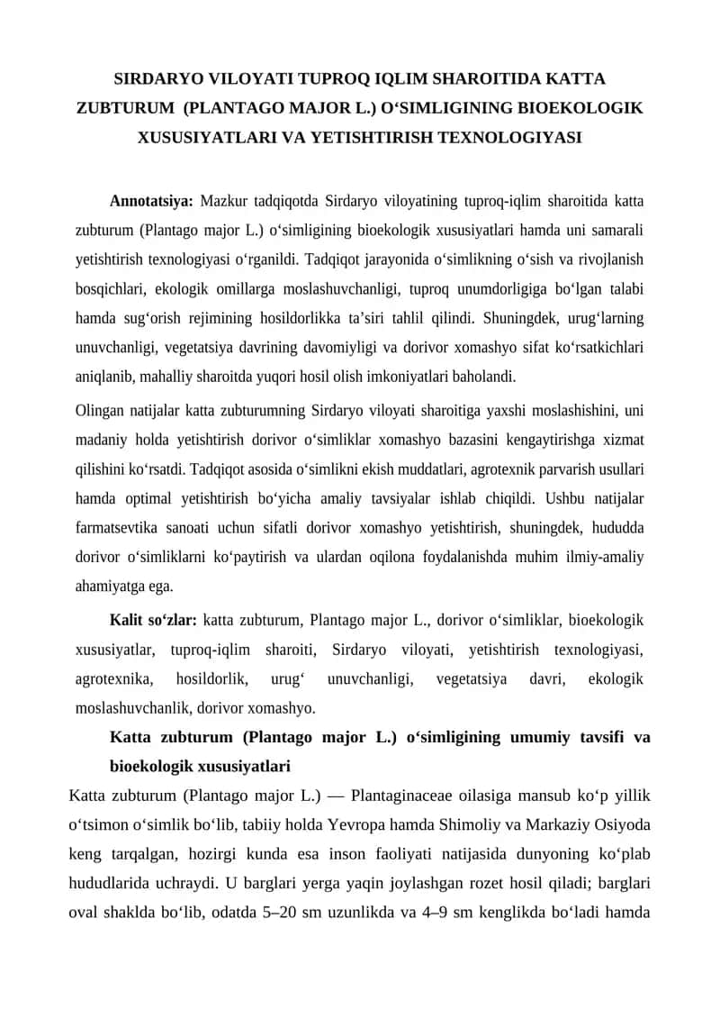 SIRDARYO VILOYATI TUPROQ IQLIM SHAROITIDA KATTA ZUBTURUM (PLANTAGO MAJOR L.) O‘SIMLIGINING BIOEKOLOGIK XUSUSIYATLARI VA YETISHTIRISH TEXNOLOGIYASI
