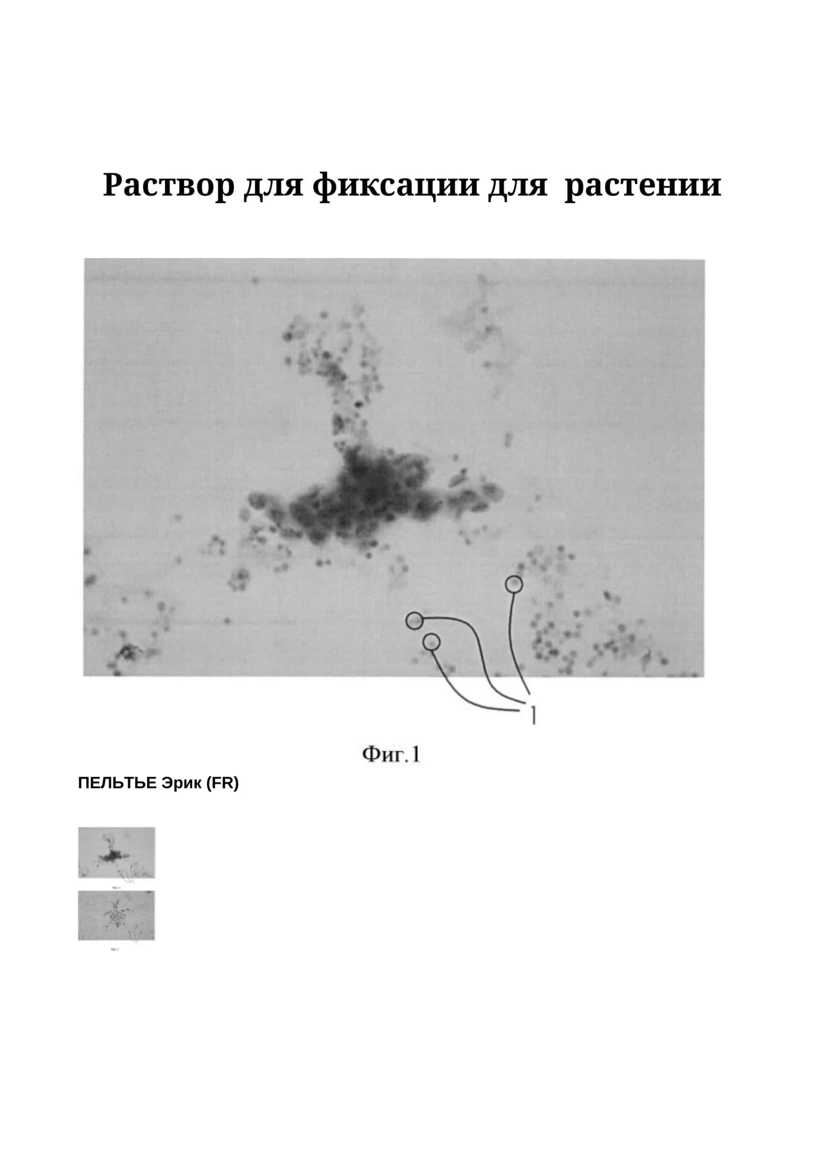 Раствор для фиксации для растении