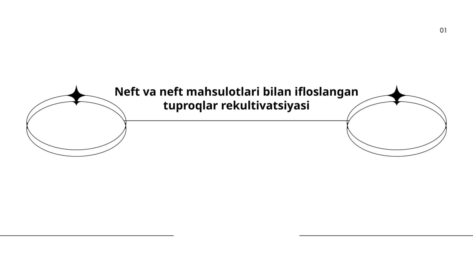 Neft va neft mahsulotlari bilan ifloslangan tuproqlar rekultivatsiyasi