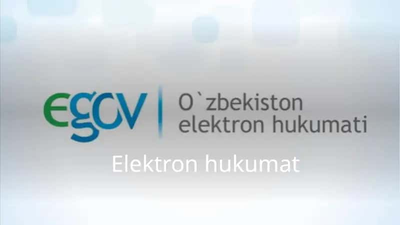 Elektron hukumat E-GOV