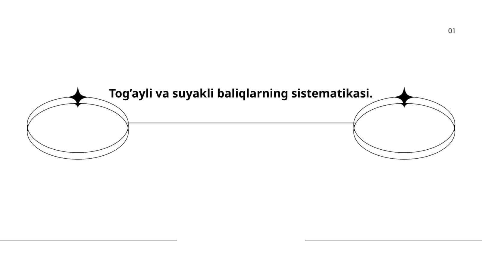 Tog’ayli va suyakli baliqlarning sistematikasi