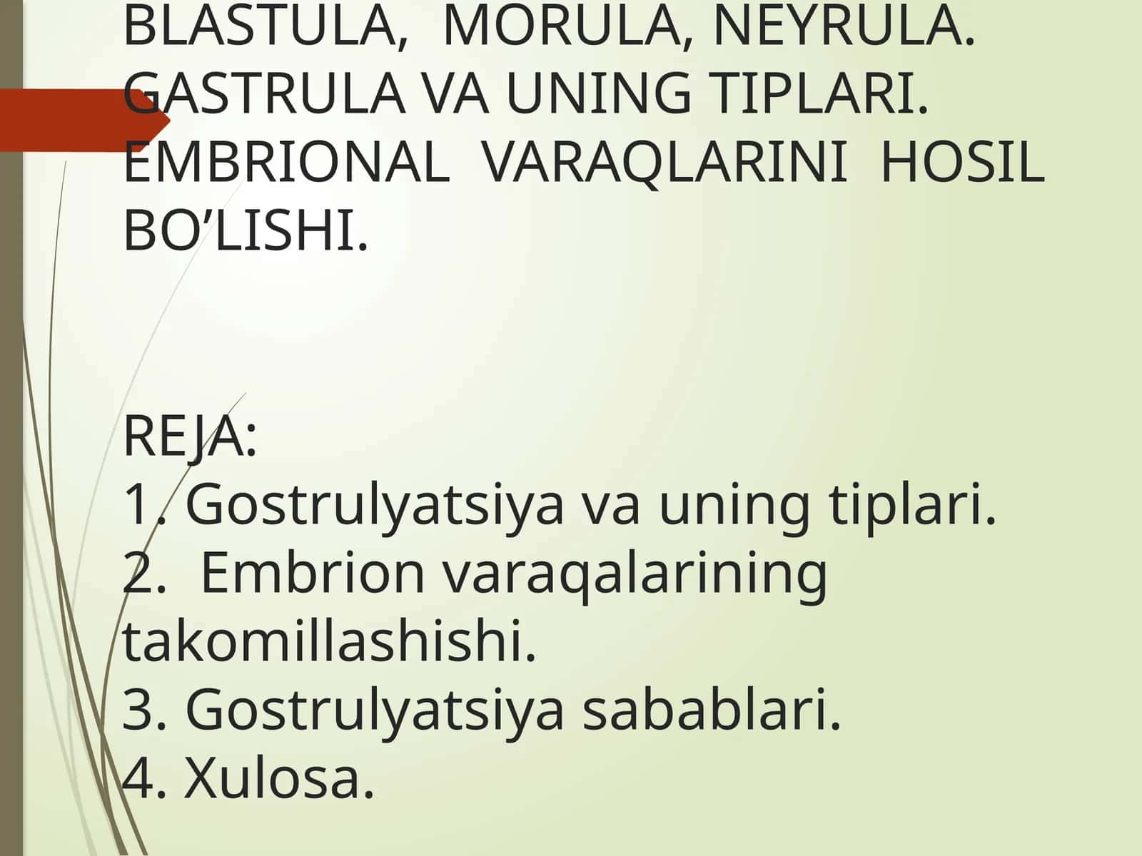 IMPLANTATSIYA. MAYDALANISH. BLASTULA, MORULA, NEYRULA. GASTRULA VA UNING TIPLARI. EMBRIONAL VARAQLARINI HOSIL BO’LISHI