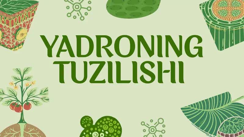 YADRONING TUZILISHI.