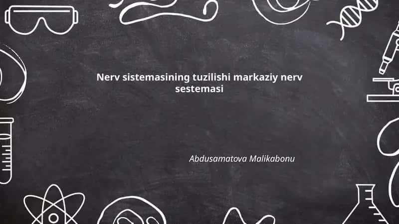 Nerv sistemasining tuzilishi markaziy nerv sestemasi