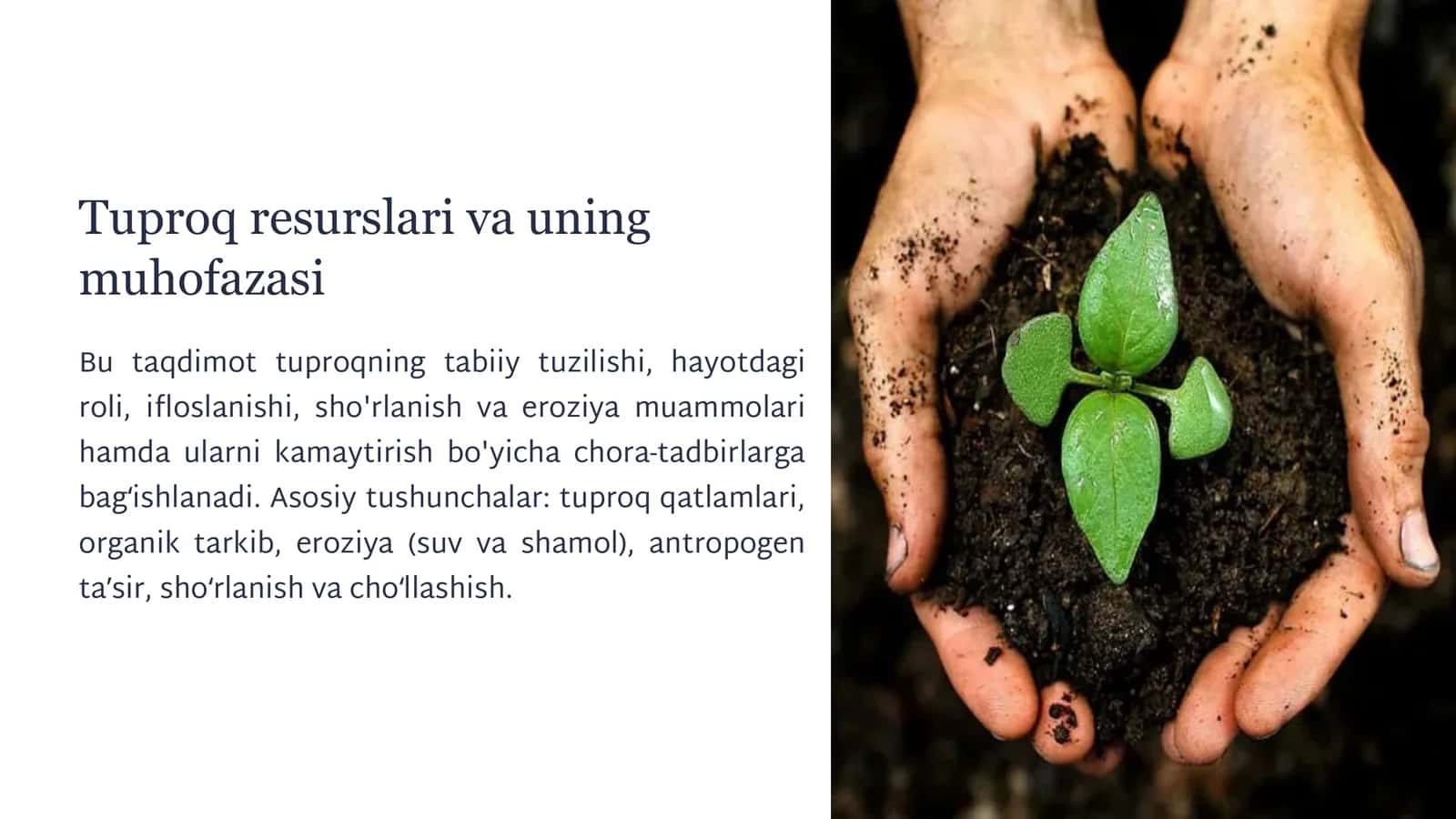 Tuproq resurslari va uning muhofazasi