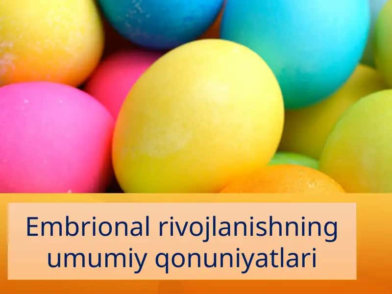 Embriologiya fanidan umumiy qonuniyatlar