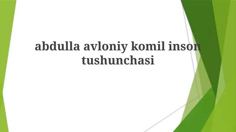 Avloiyning "Komil Inson" tushunchasi