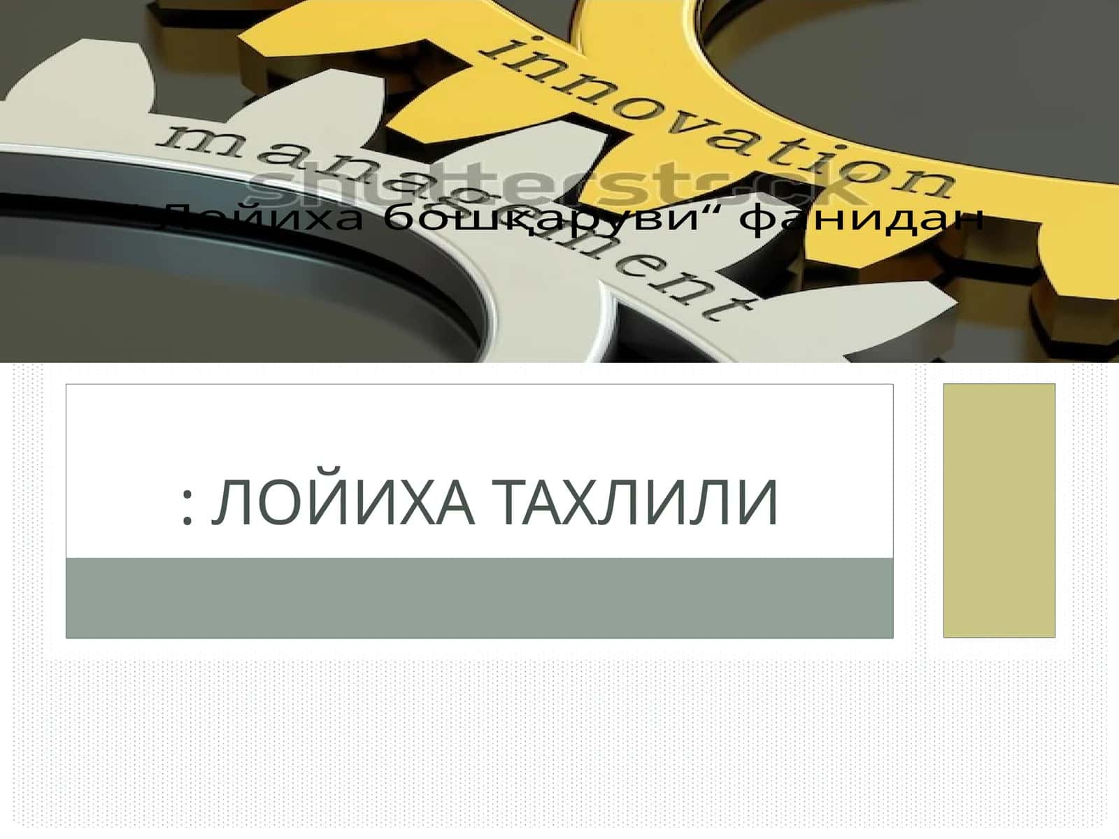 Лойиха бошқаруви