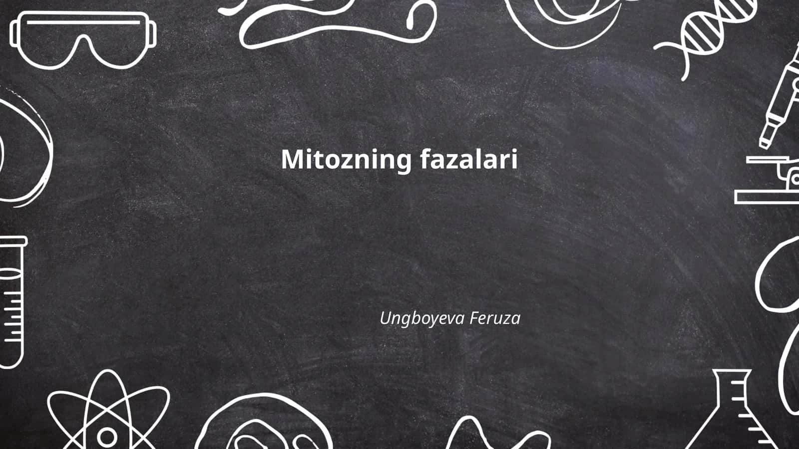 Mitozning fazalari