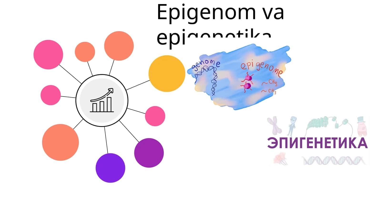 Epigenom va epigenetika