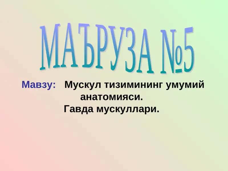 Muskul tizimining umumiy anatomiyasi