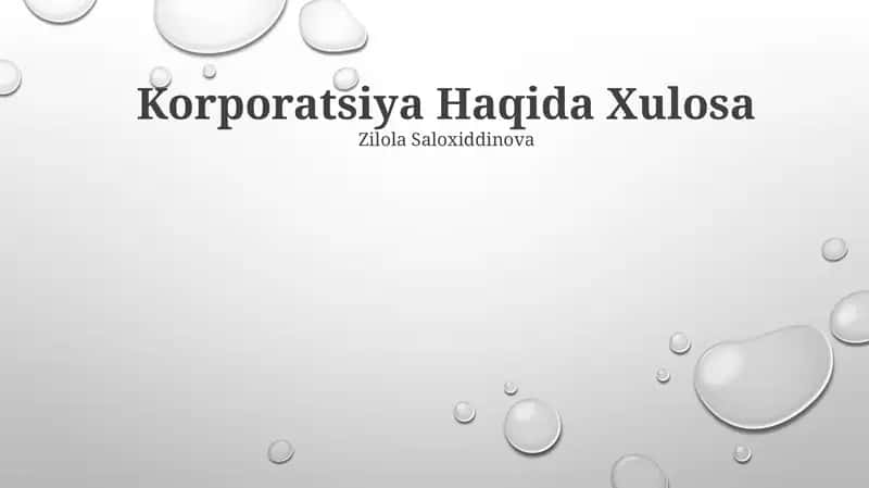 Korporatsiya Haqida Xulosa
