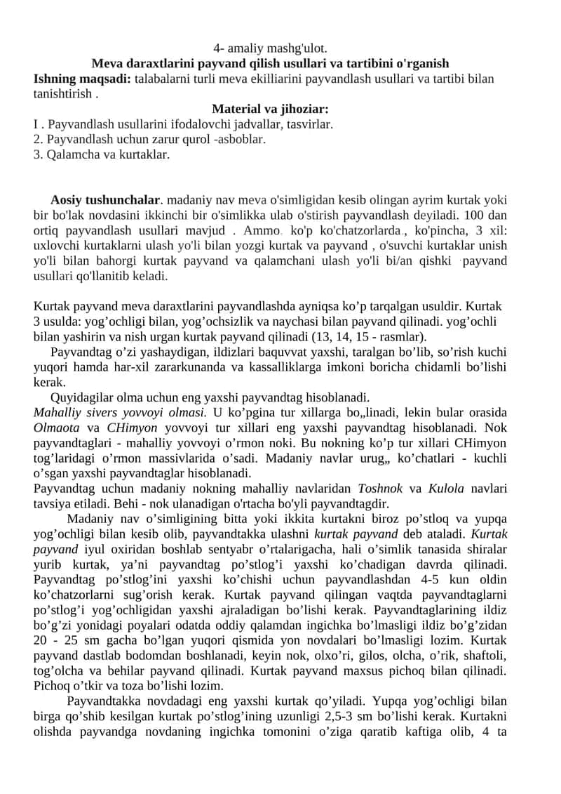 Meva Daraxtlarini Payvand Qilish Usullari