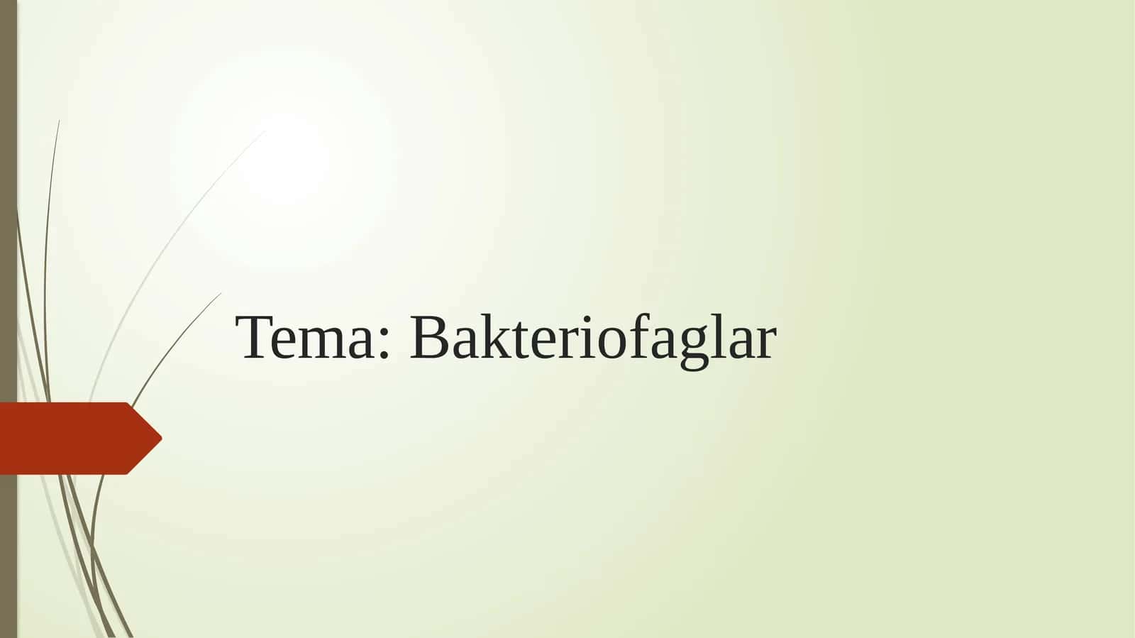 Bakteriofaglar
