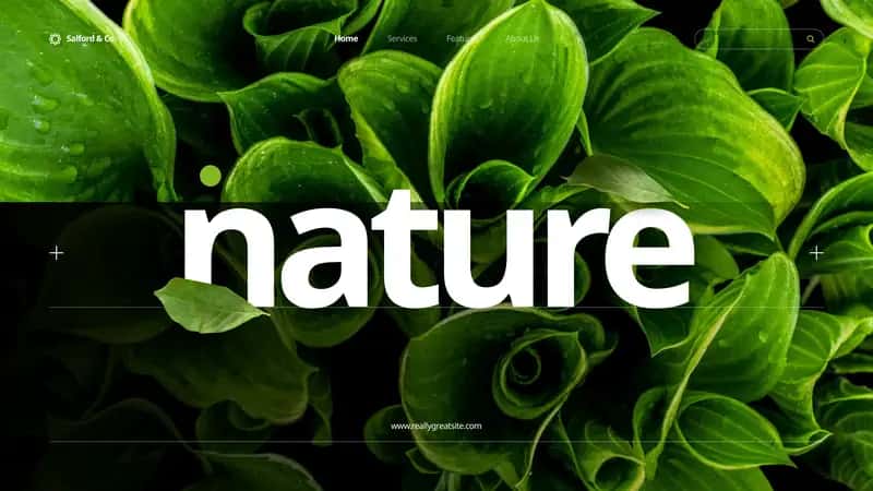 Nature