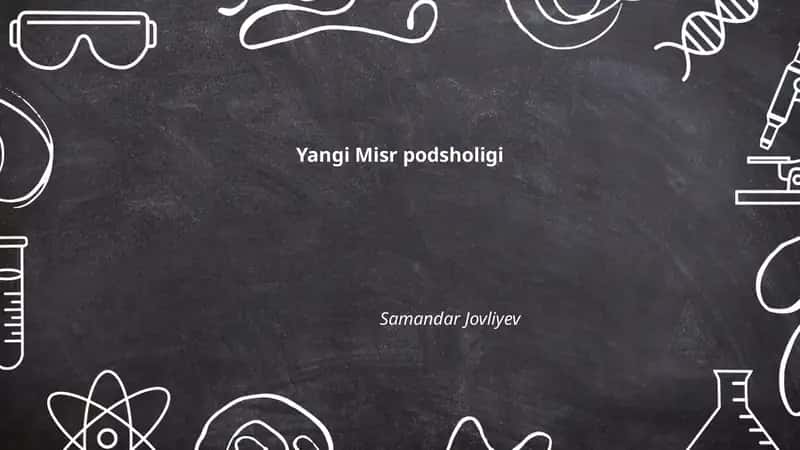 Yangi Misr podsholigi