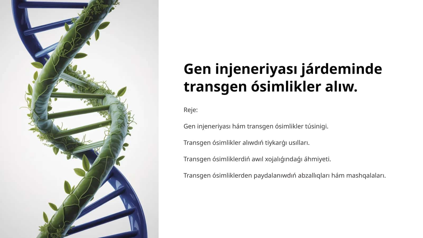 Transgen ósimlikler
