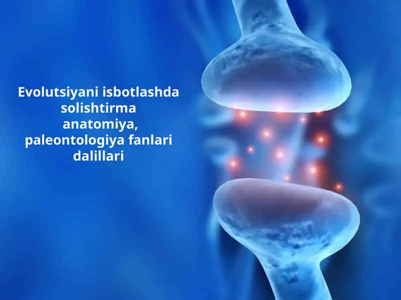Evolutsiyani isbotlashda solishtirma anatomiya, paleontologiya fanlari dalillari