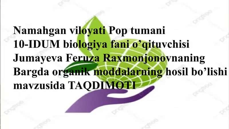 Bargda Organik Moddalarning Hosil Bo’lishi