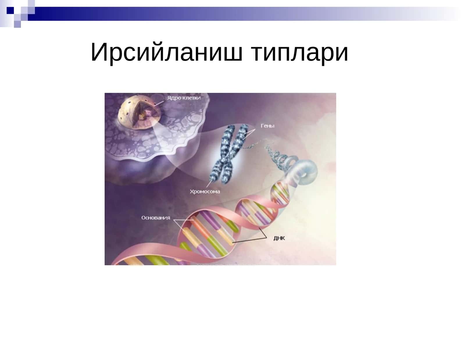 Ирсийланиш типлари