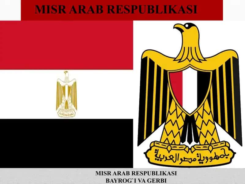 Misr arab respublikasi