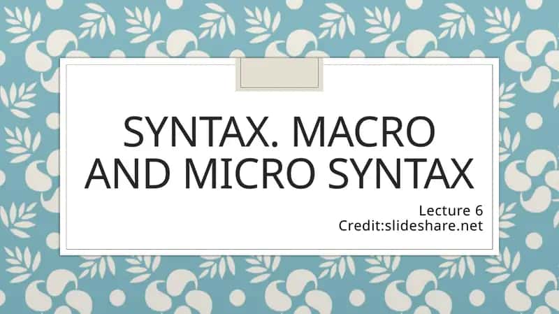 Syntax. Macro and micro syntax