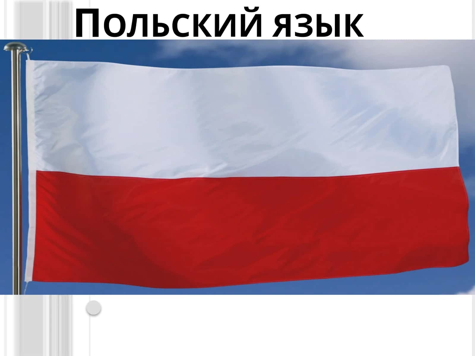 Польский язык