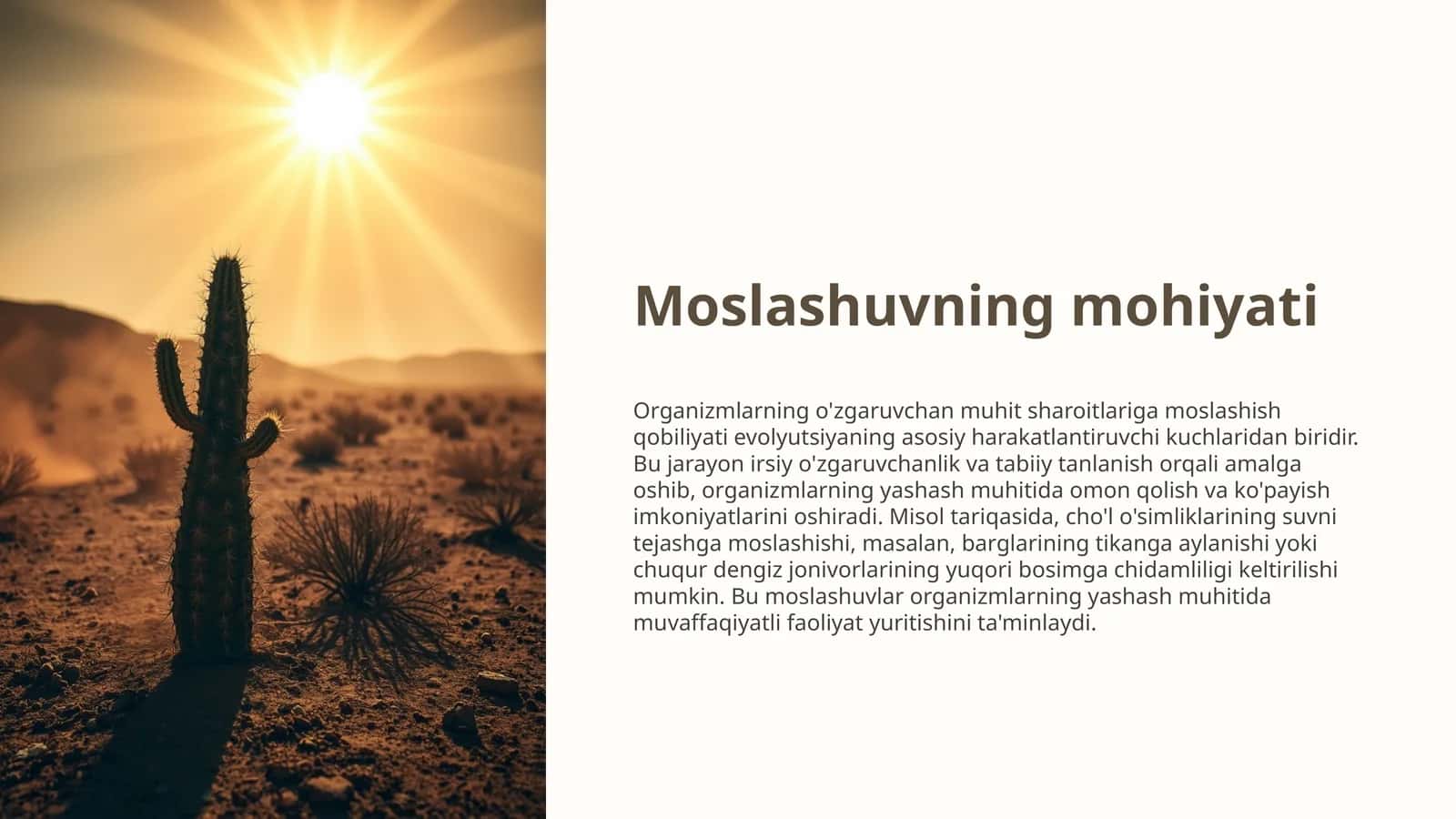 Moslashuvning mohiyati