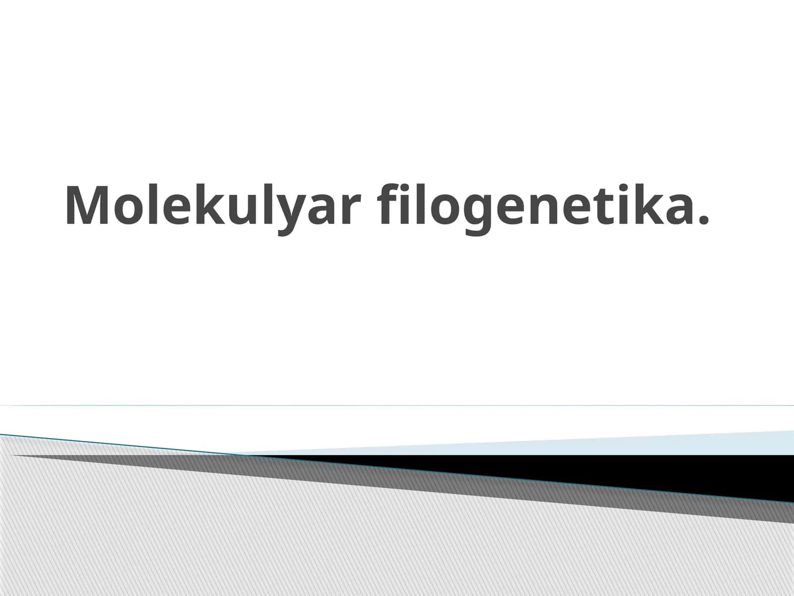 Molekulyar filogenetika