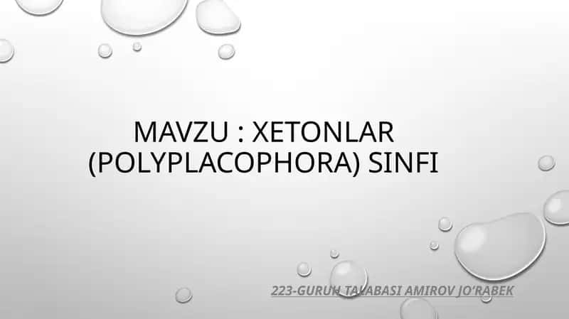 Xetonlar (POLYPLACOPHORA) SINFI