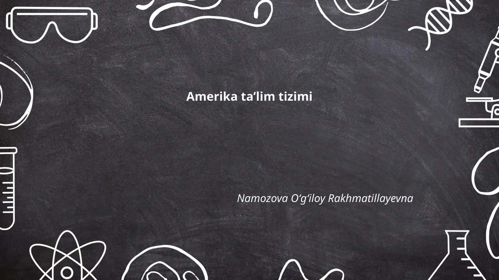 Amerika ta’lim tizimi