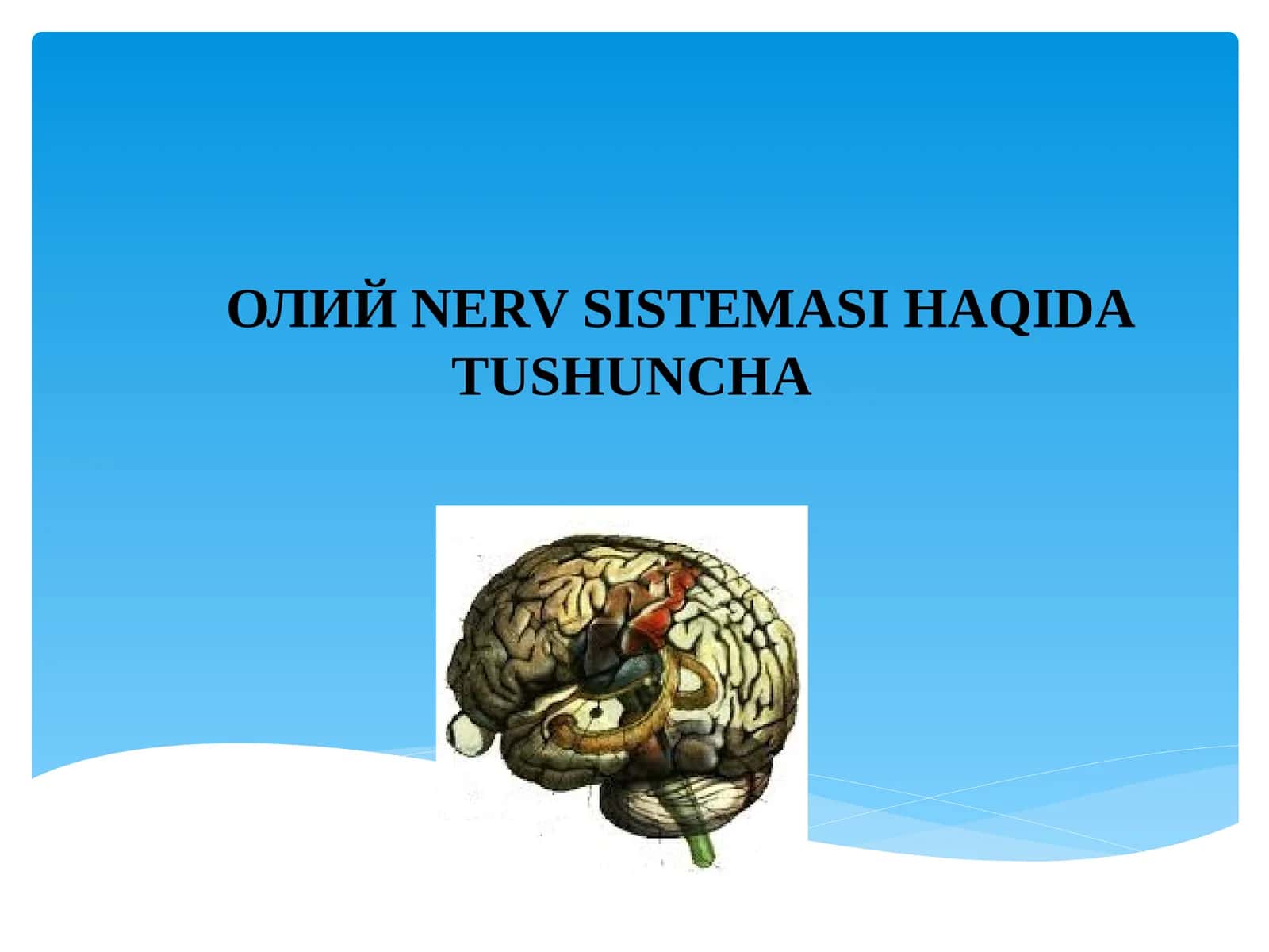 Oliy NERV SISTEMASI HAQIDA TUSHUNCHA