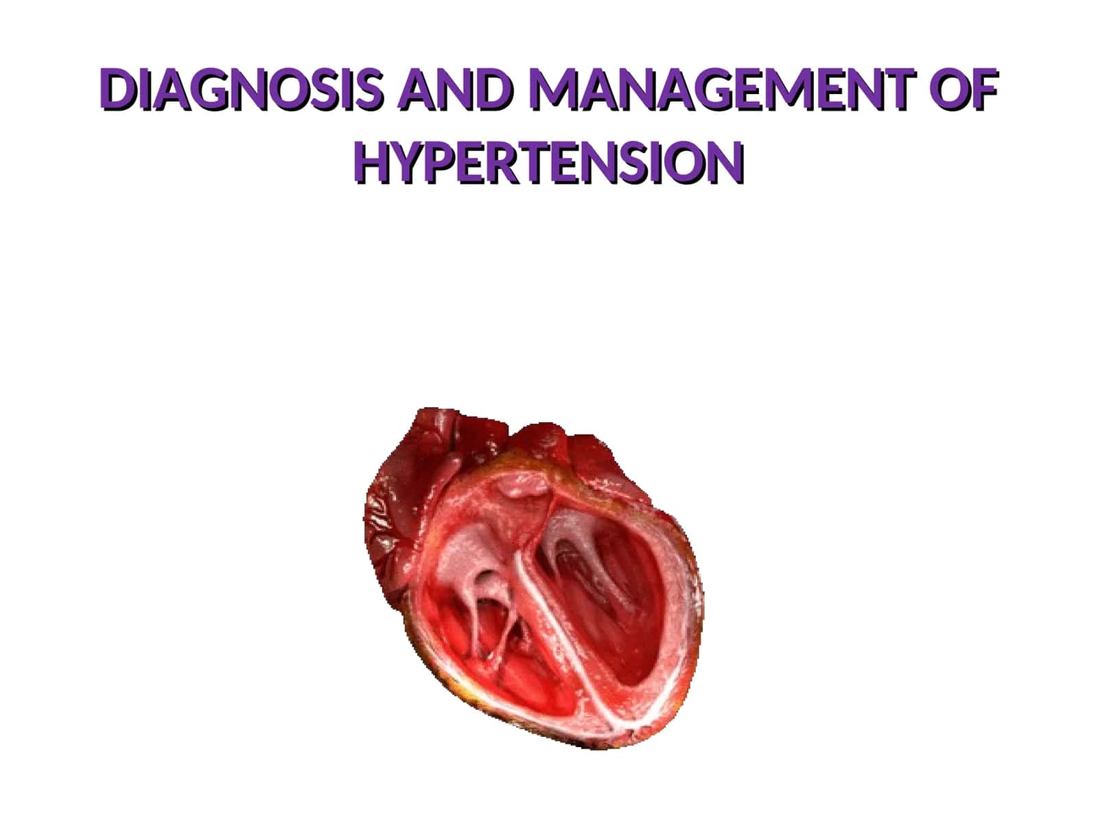 DIAGNOSIS AND MANAGEMENT OF HYPERTENSION