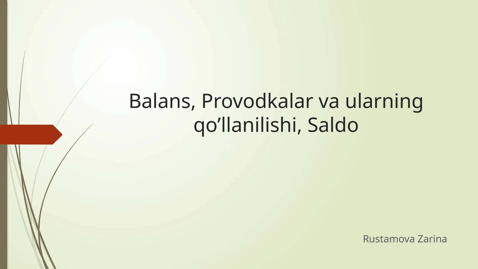 Balans, Provodkalar va ularning qo’llanilishi, Saldo