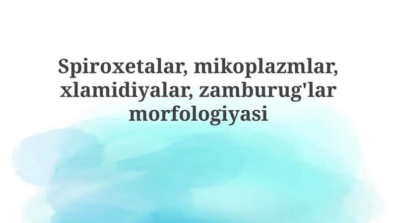 Mikoplazmalar morfologiyasi