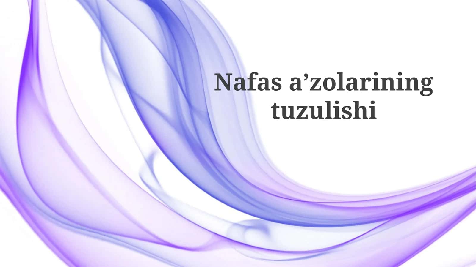 Nafasaʼzolarining tuzulishi