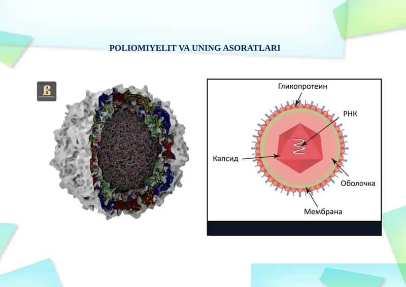 Poliomiyelit va uning asoratlari