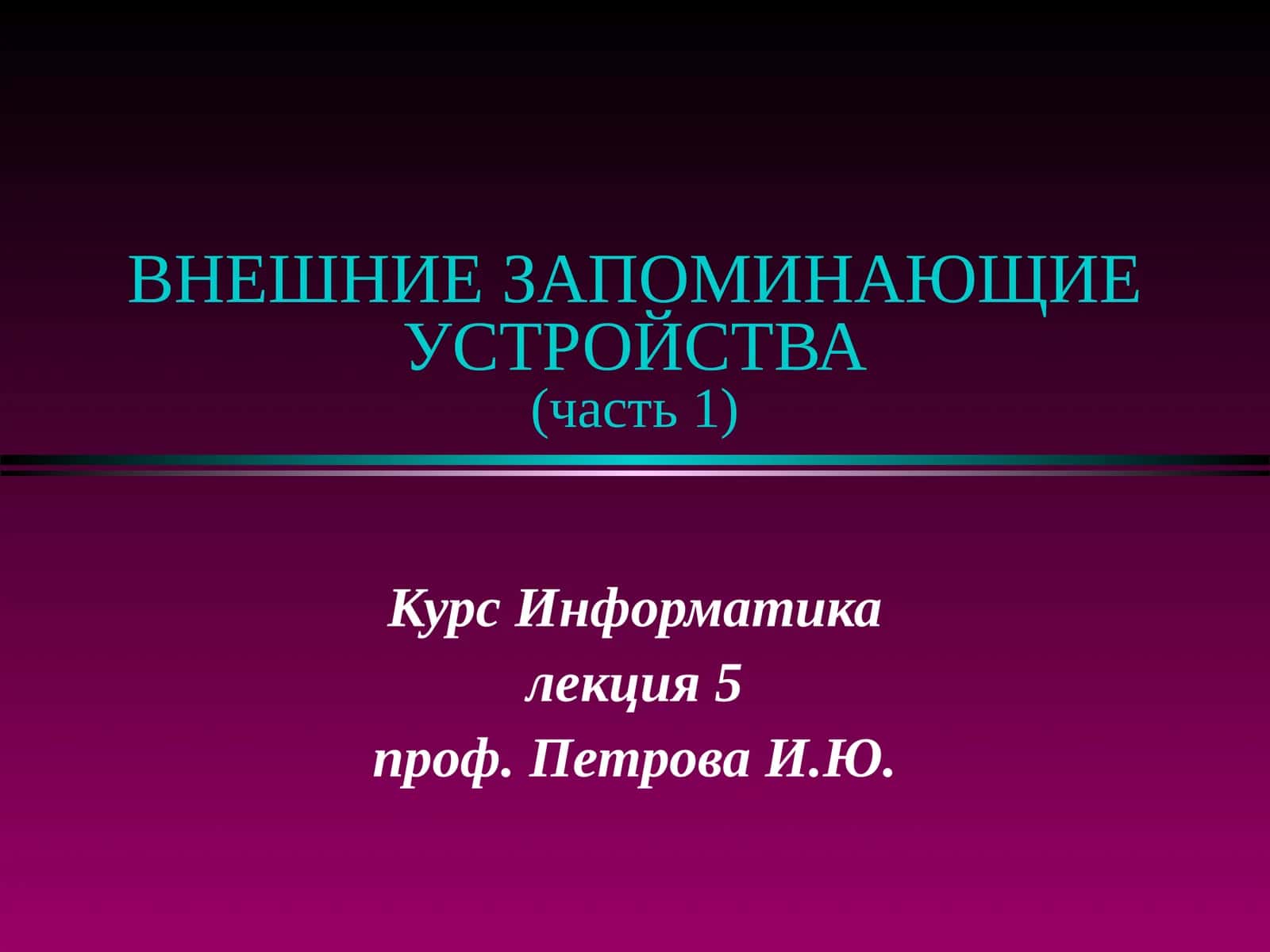 ВНЕШНИЕ ЗАПОМИНАЮЩИЕ УСТРОЙСТВА(часть 1)