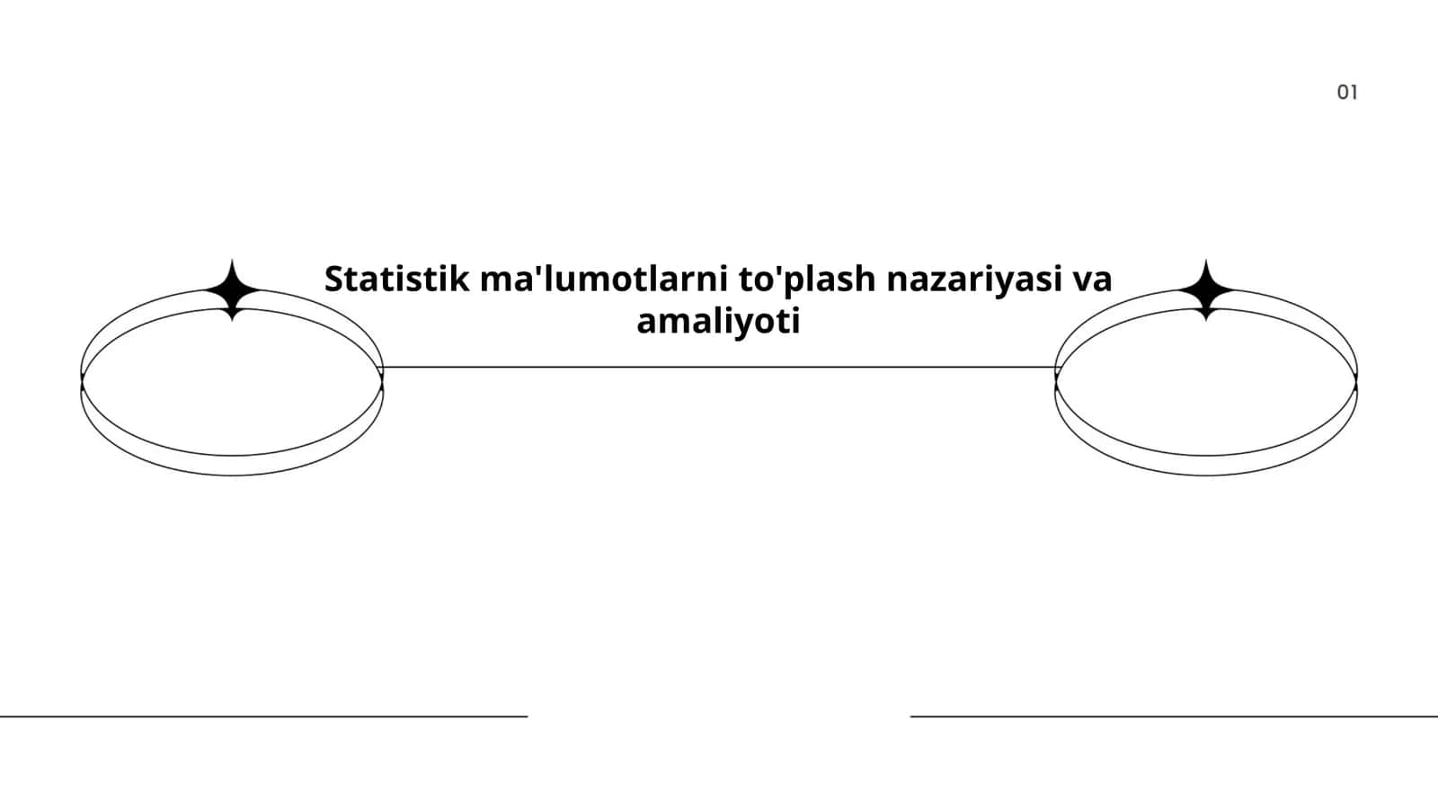 Statistik ma'lumotlarni to'plash nazariyasi va amaliyoti