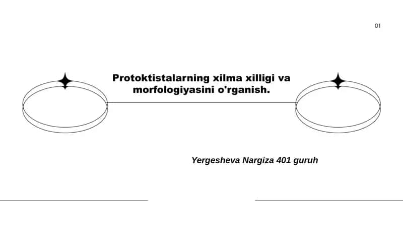 Protoktistalarning xilma xilligi va morfologiyasini o'rganish