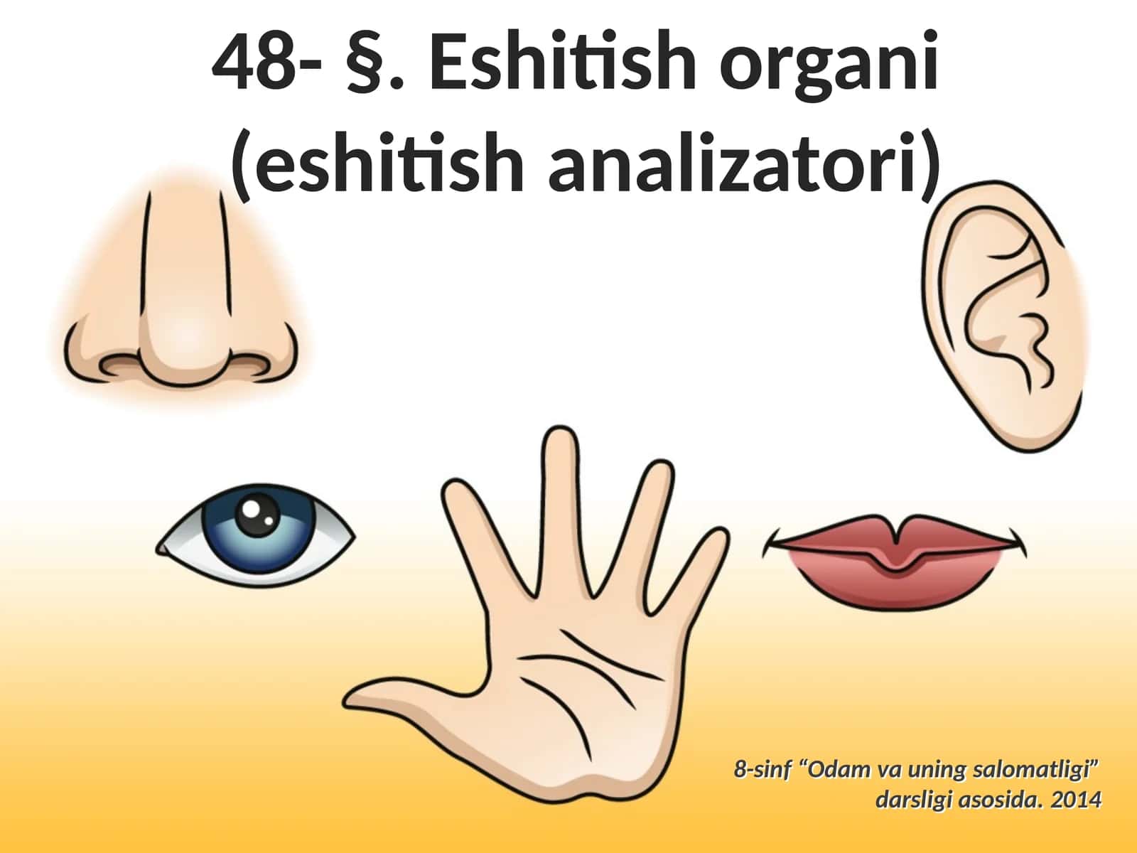 Eshitish organi (eshitish analizatori)