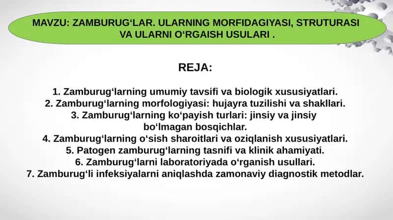 ZAMBURUGʻLAR. ULARNING MORFIDAGIYASI, STRUTURASI  VA ULARNI OʻRGAISH USULARI