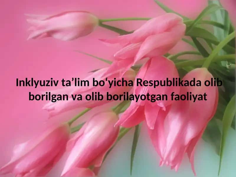Inklüziv ta'lim bo'yicha Respublikada olib borilgan va olib borilayotgan faoliyat